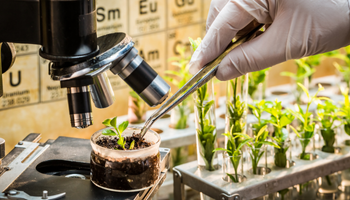 Certificate Course in Plant Breeding